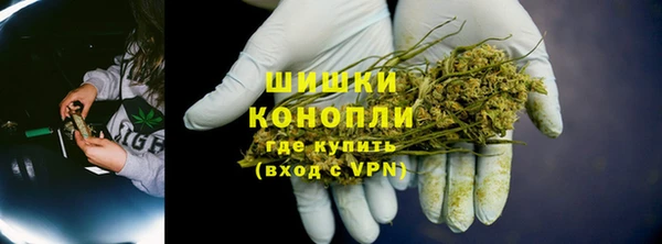 хмурый Нея
