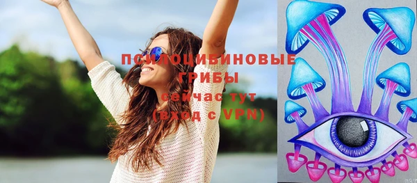 ECSTASY Новозыбков