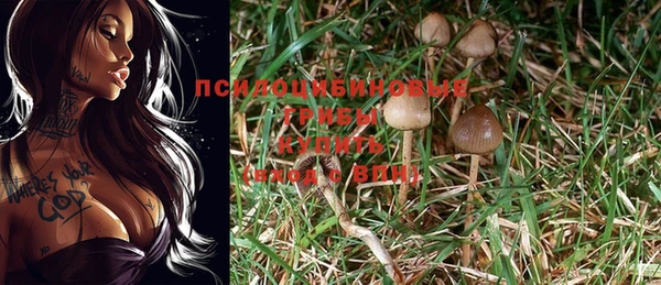 кокс Нефтекумск