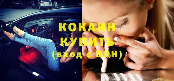 хмурый Нея