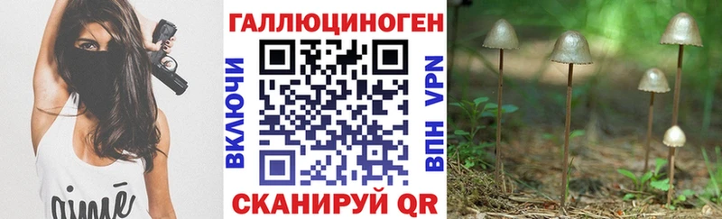 Галлюциногенные грибы GOLDEN TEACHER  Катав-Ивановск 