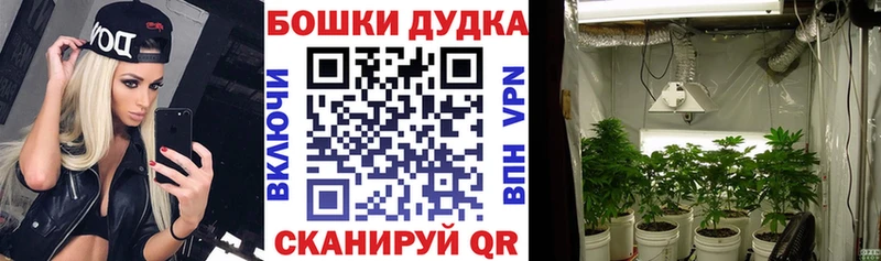 продажа наркотиков  Катав-Ивановск  Шишки марихуана White Widow 